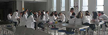 Alunos participam de aula prática do Laboratório de Anatomia