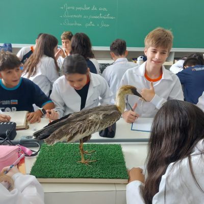 Explorando o mundo científico: aventuras 3D e observações zoólogicas no Colégio Guairacá