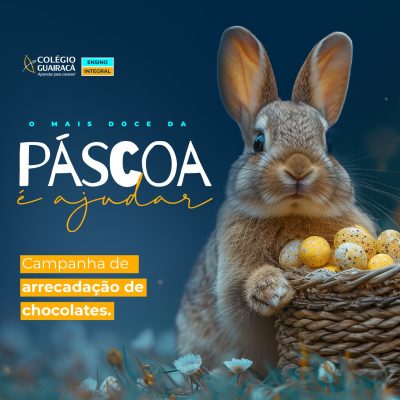 Páscoa solidária: Colégio Guairacá promove campanha de arrecadação de chocolates
